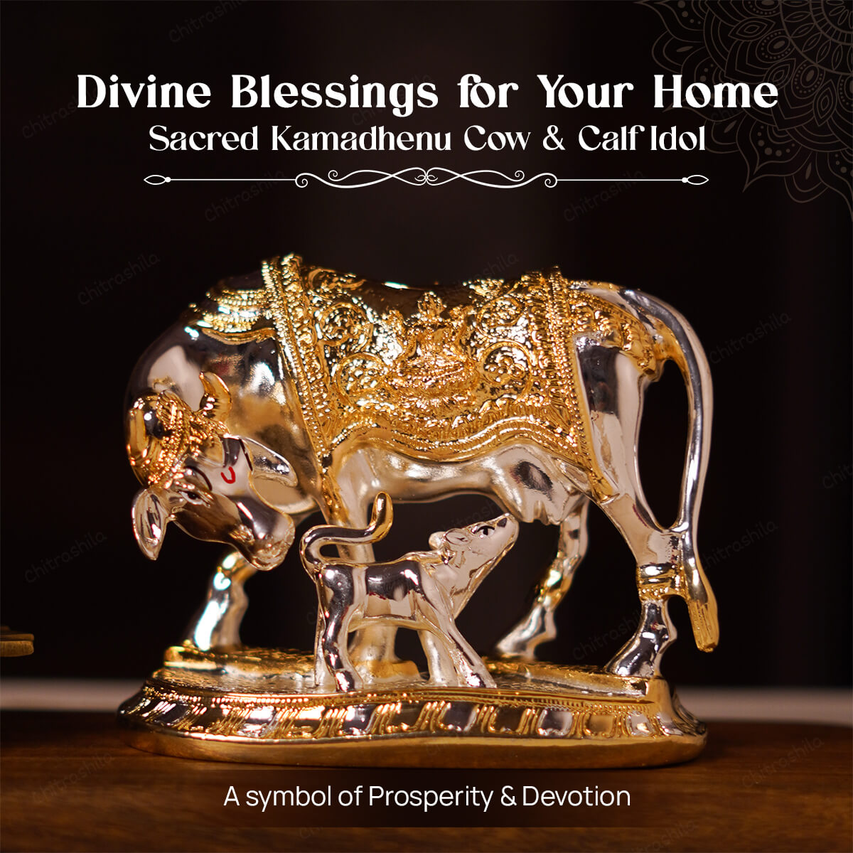 Kamdhenu Cow gold & silver plated